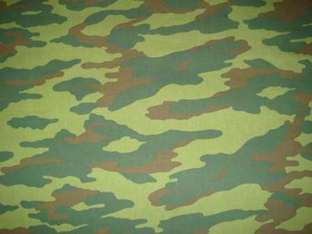 Ojeda pentru Flora militară